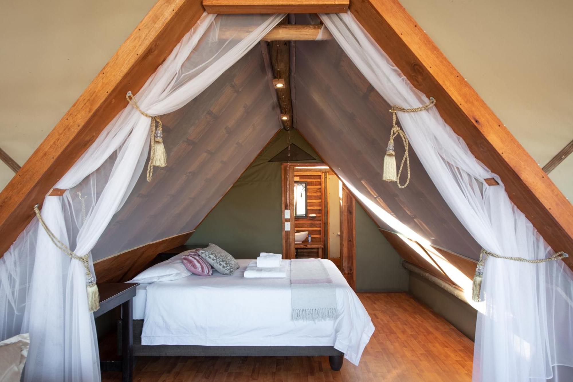Buffelshoek Tented Camp Manyeleti Game Reserve Habitación foto