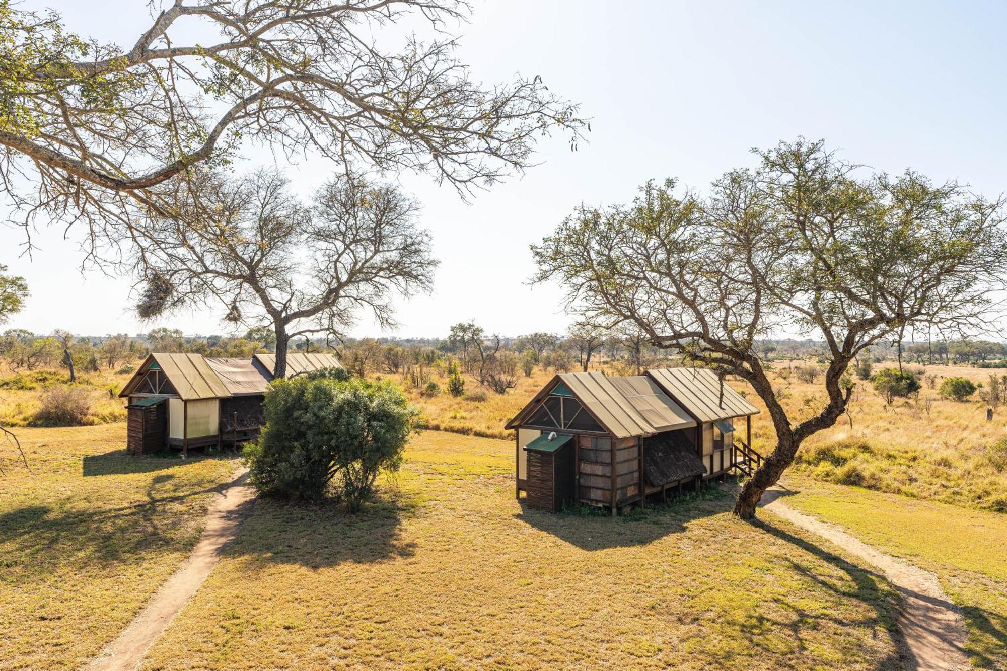 Buffelshoek Tented Camp Manyeleti Game Reserve Habitación foto